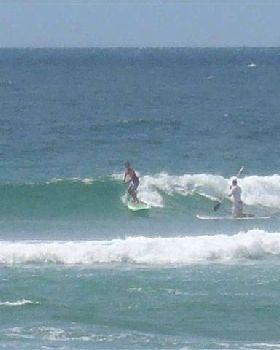 PB140035 (Small)