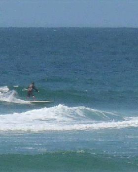 PB140059 (Small)