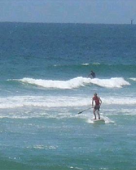 PB140081 (Small)