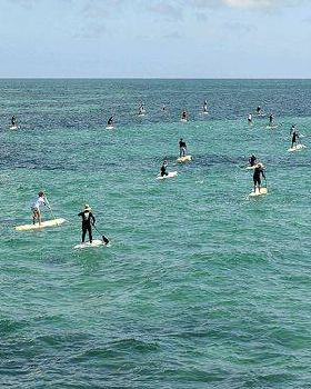 SUP Race at Brighton / Glenelg