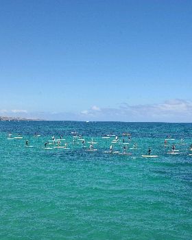 ONBOARD SA SUP DOWNWIND RACE