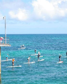 ONBOARD SA SUP DOWNWIND RACE