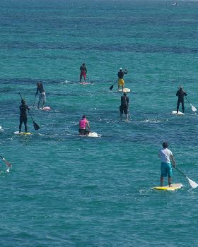ONBOARD SA SUP DOWNWIND RACE