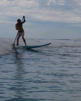 wave of the day