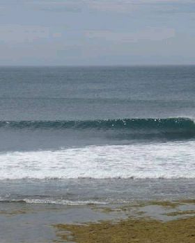 RINCON 039 (Small)