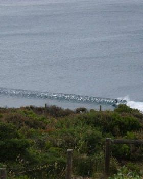 RINCON 040 (Small)