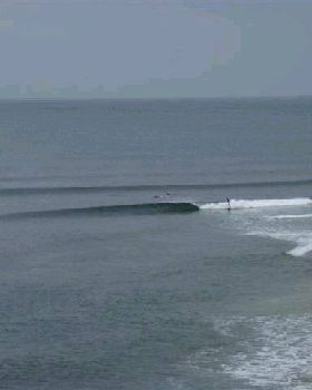 RINCON 073 (Small)