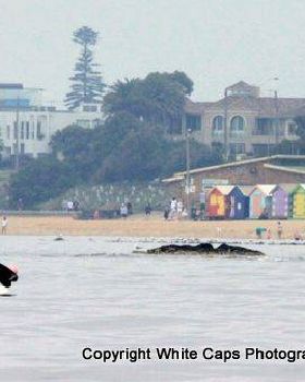 Great Melbourne Paddle