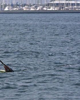COREBAN GREAT MELB PADDLE