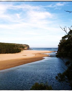 Wattamolla Royal National Park 8th December 2010 003