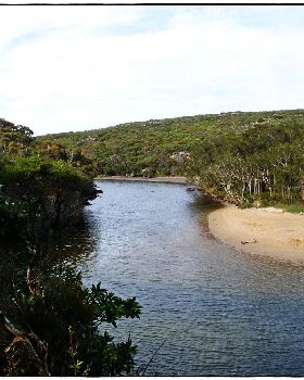 Wattamolla Royal National Park 8th December 2010 004