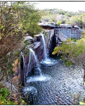 Wattamolla Royal National Park 8th December 2010 005