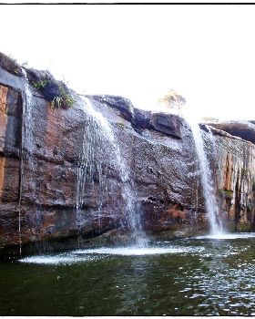 Wattamolla Royal National Park 8th December 2010 010