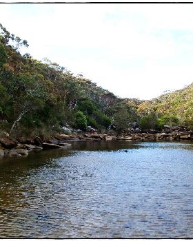Wattamolla Royal National Park 8th December 2010 015