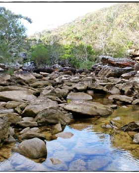 Wattamolla Royal National Park 8th December 2010 017