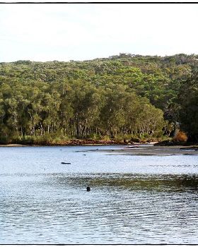 Wattamolla Royal National Park 8th December 2010 020