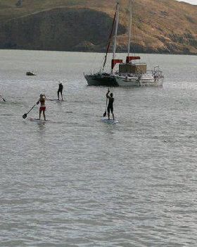 Stand Up Paddle