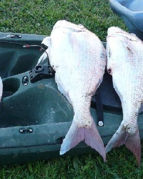 Kayak fishing 4 4 09