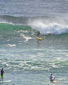 Stand Up Paddle