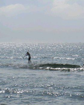Cronulla Sutherland SUP Club DEMO Day