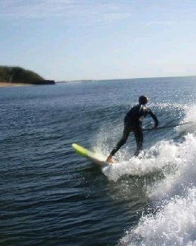 photo (Medium)