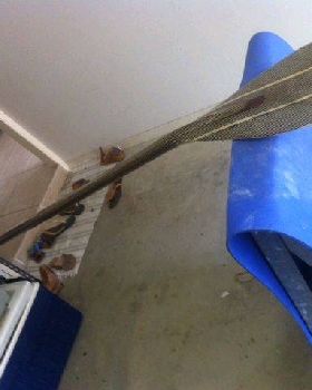 photo3