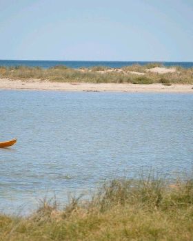 funpaddle 4