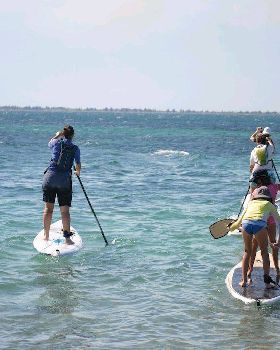 funpaddle 20