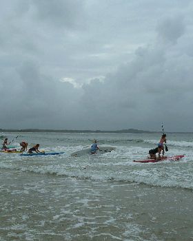 Noosa Festival Sup race 2011