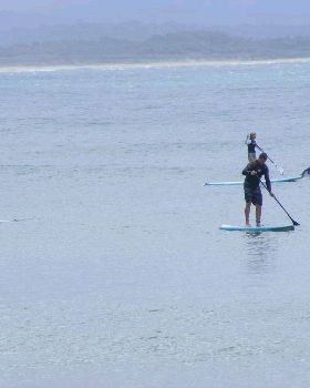 Stand Up Paddle