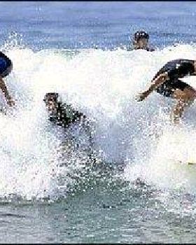 surf583-520x231
