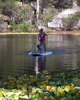 Stand Up Paddle