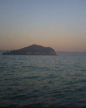 the rock 004
