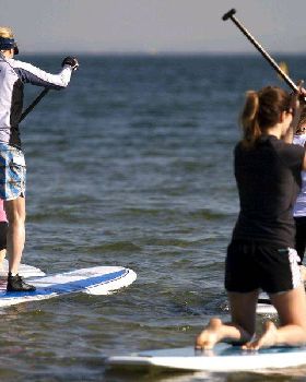 HMB sup 2
