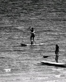 HMB sup 4