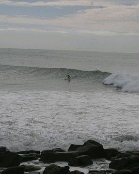 sc point 012