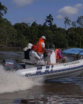 Bonosurf Besar