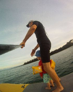 Watching the Dolphins