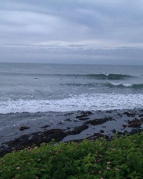 IMAG0044