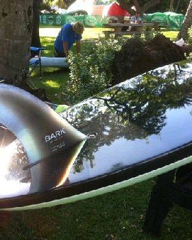 shiny bark