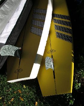 Naisg tails