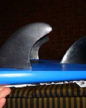 tail