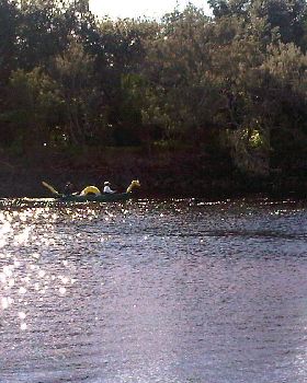 dragon boat