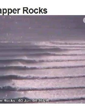 Snapper