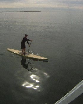 Brisbane SUP Club