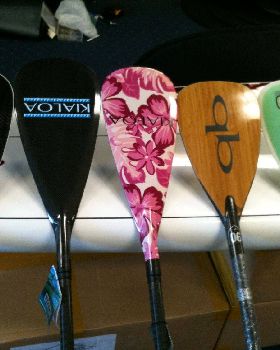 Stand Up Paddle