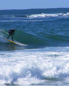 Stand Up Paddle