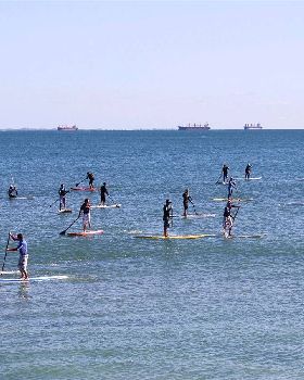 2009 Whalebone SUP Race