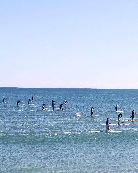 2009 Whalebone SUP Race