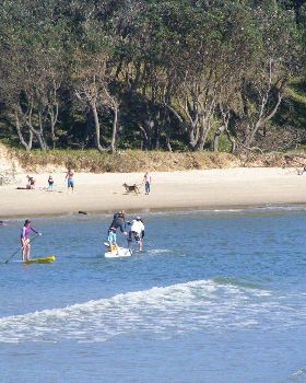 Stand Up Paddle